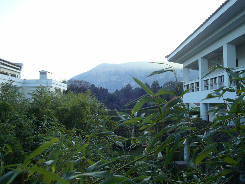 DSC04439
