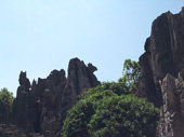 DSC04291